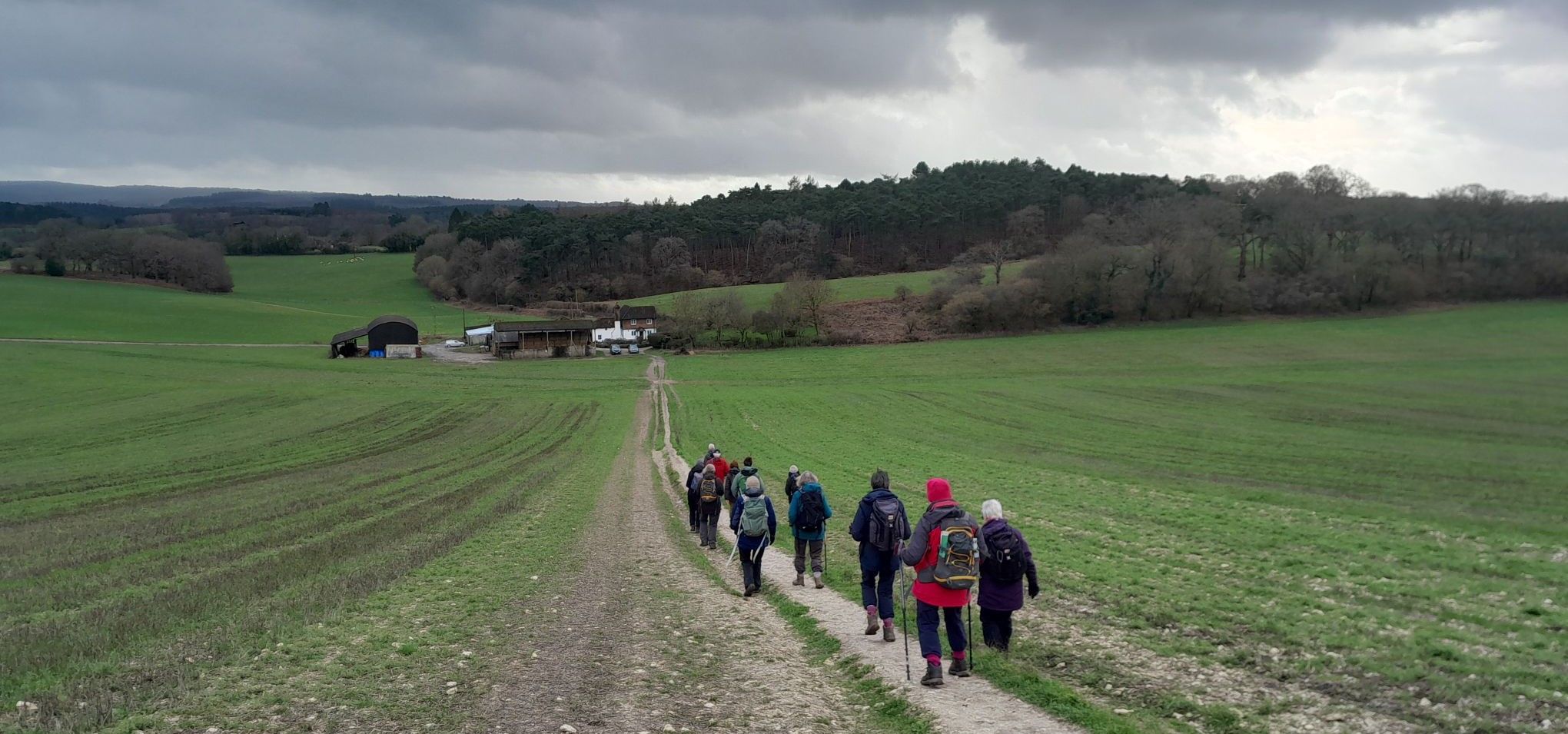 Guildford circular on 11/02/2026
